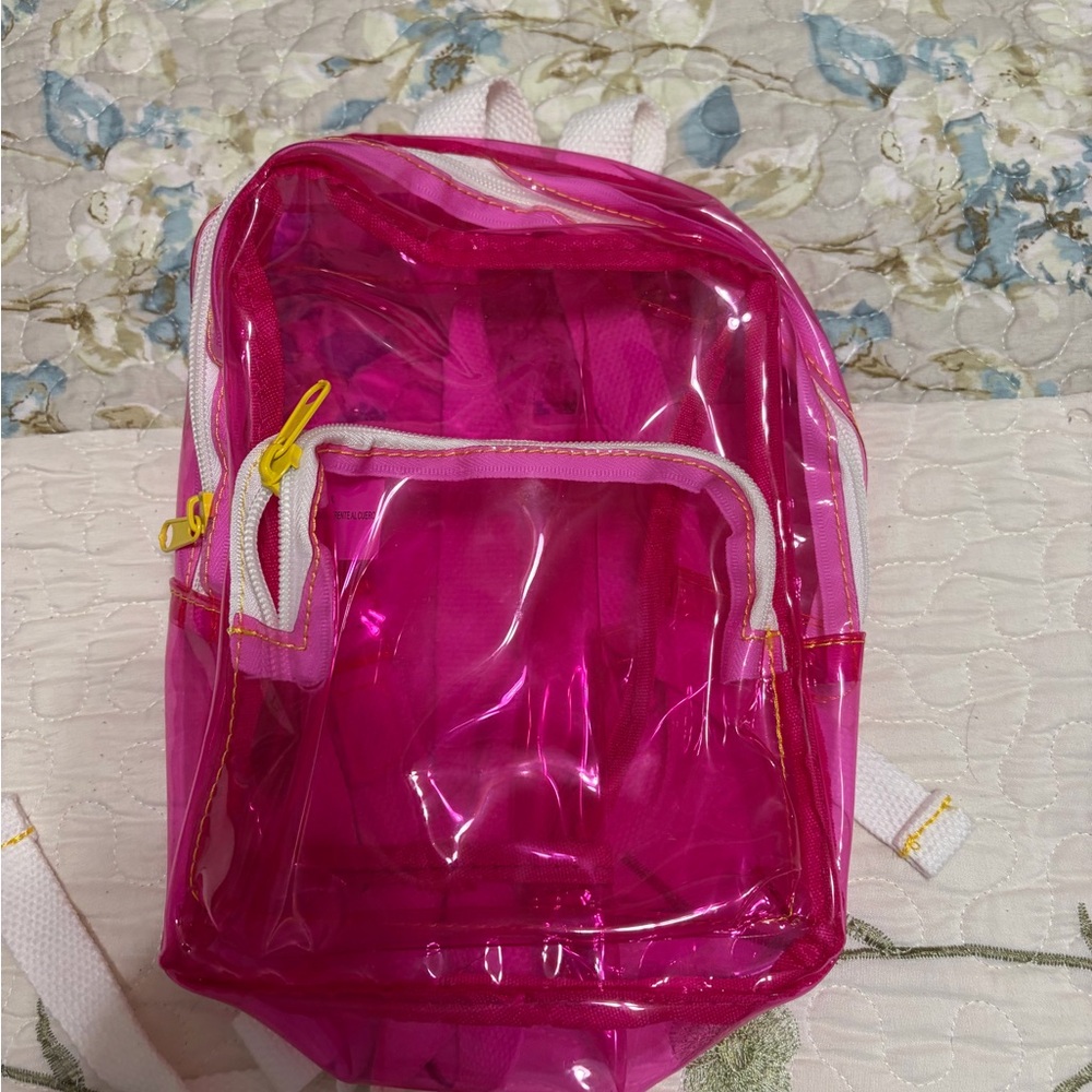 Transparent Pink Backpack